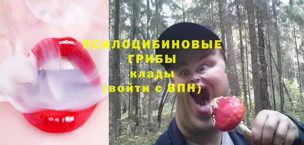 mdpv Лихославль