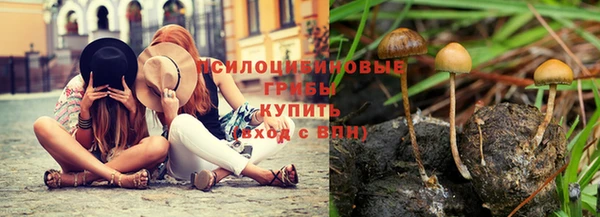 mdpv Лихославль
