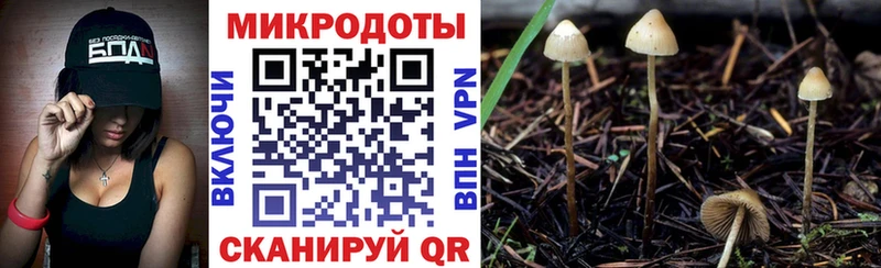 Галлюциногенные грибы Magic Shrooms  Нелидово 